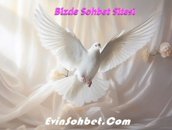 Bizde Sohbet Sitesi